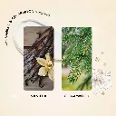 wonderlustvanilla3.webp
